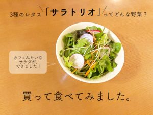 3種のレタス「サラトリオ」ってどんな野菜？買って食べてみました。